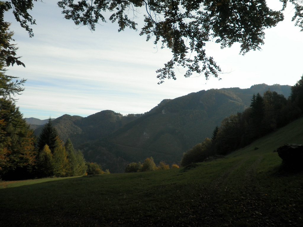 PA090009.JPG