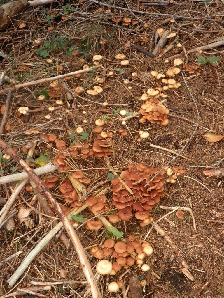 PA090019.JPG