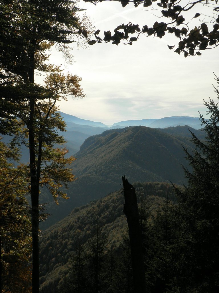 PA090020.JPG