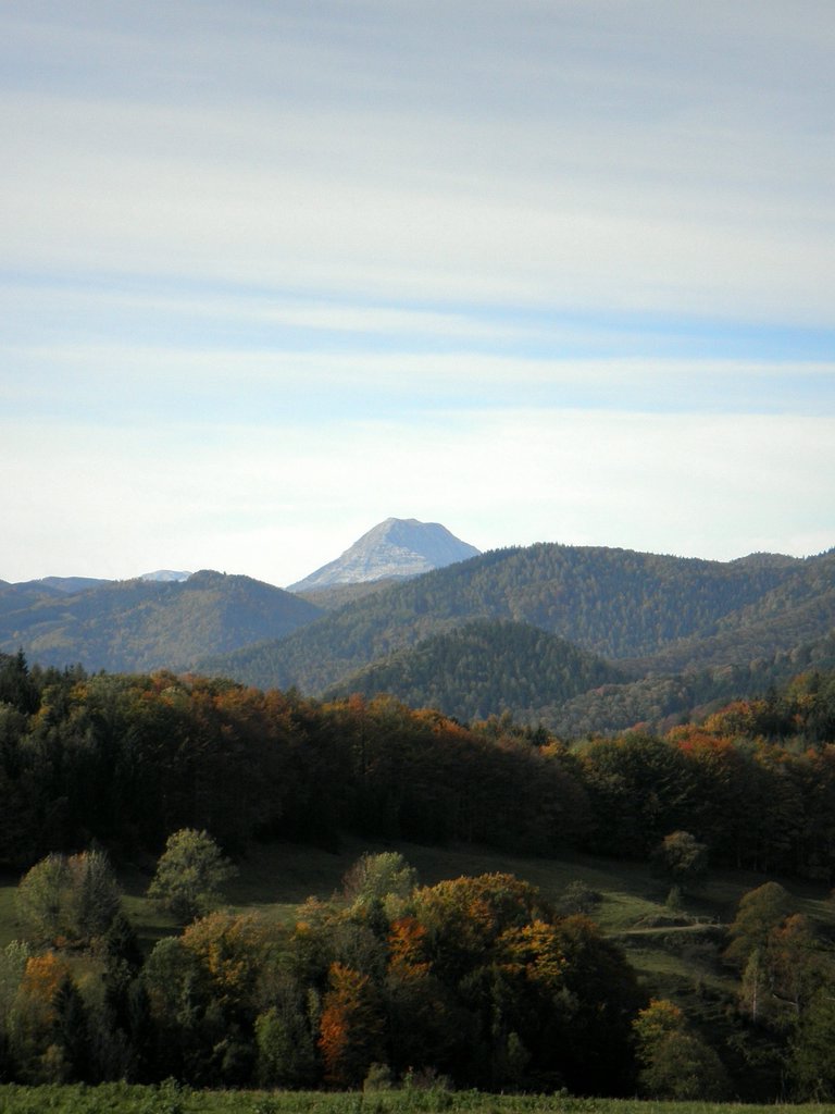 PA090027.JPG