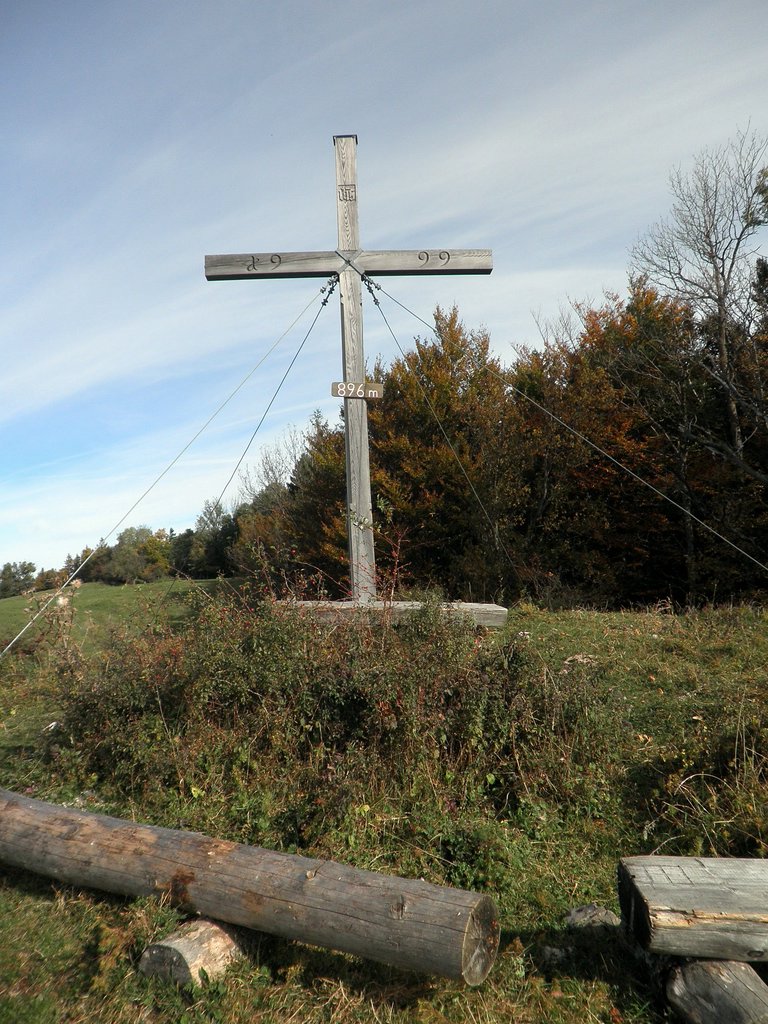 PA090029.JPG
