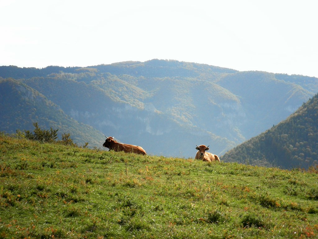PA090032.JPG