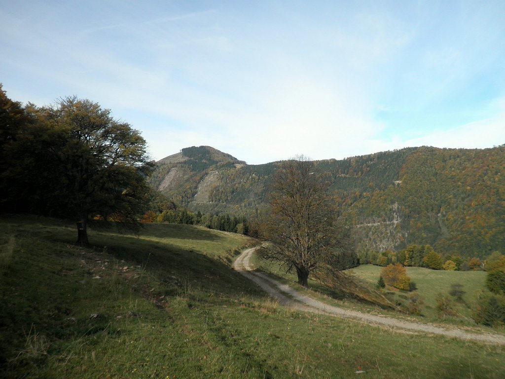 PA090038.JPG