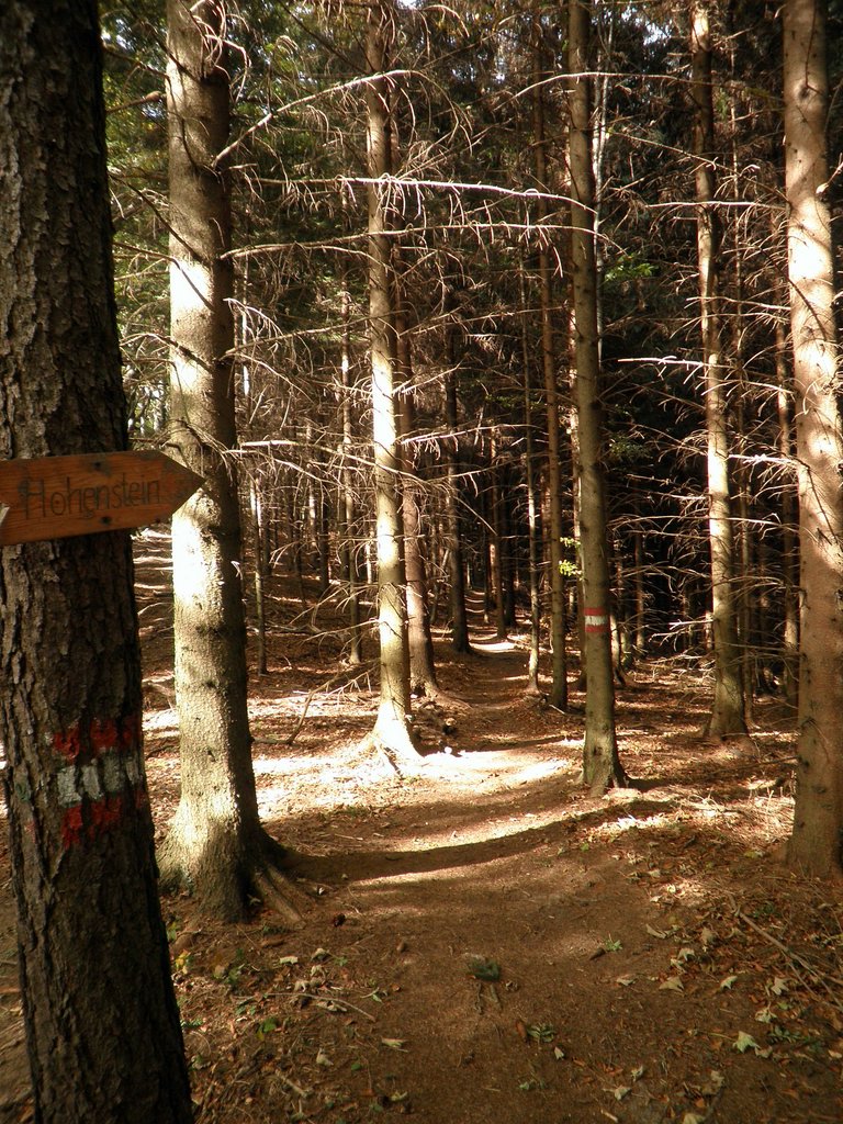 PA090039.JPG
