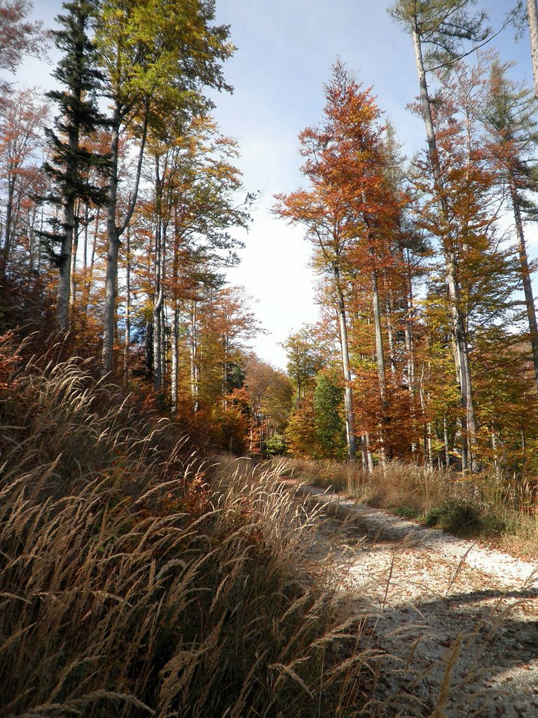 PA090048.JPG