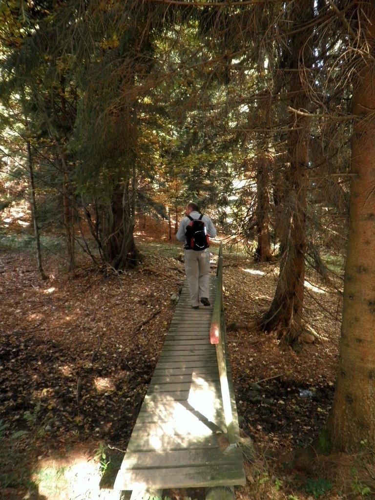 PA090050.JPG