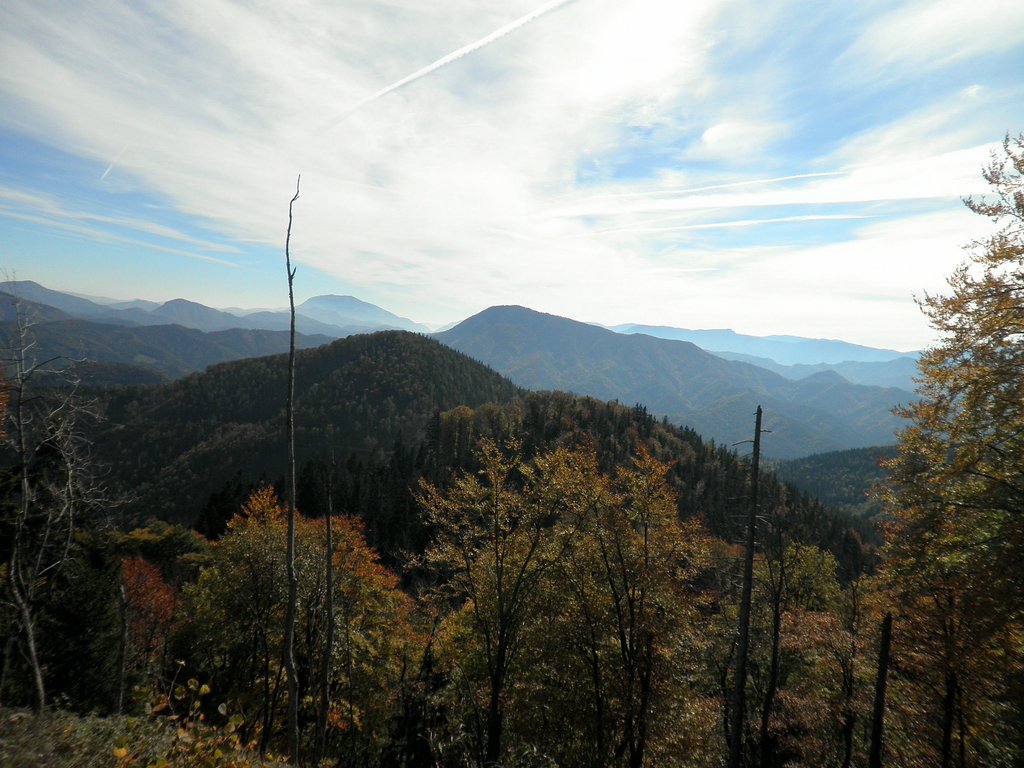 PA090054.JPG