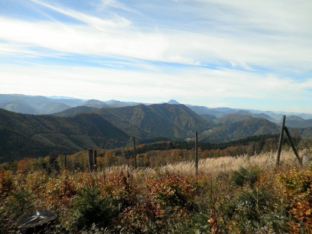 PA090057.JPG