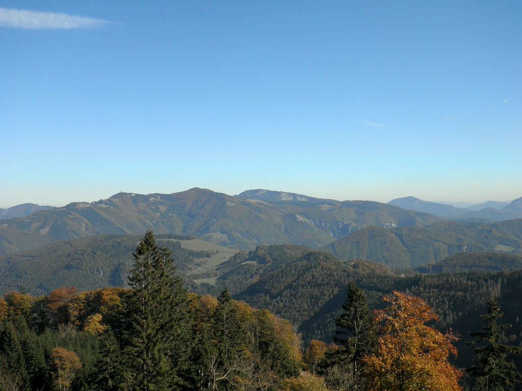 PA090078.JPG