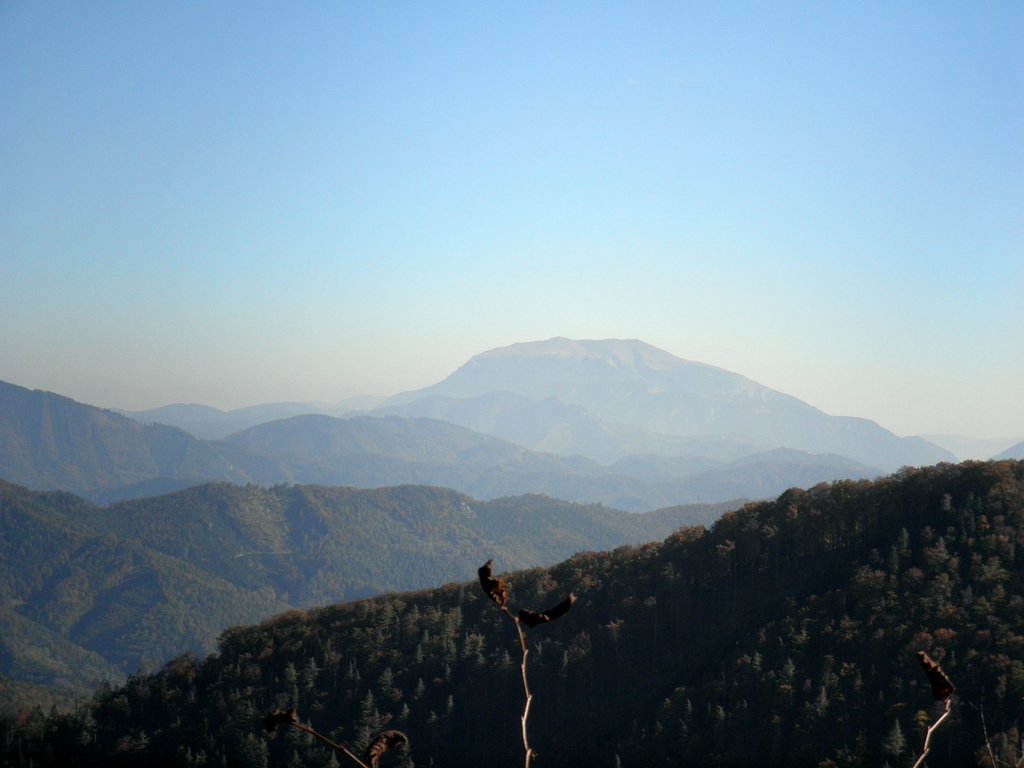 PA090080.JPG