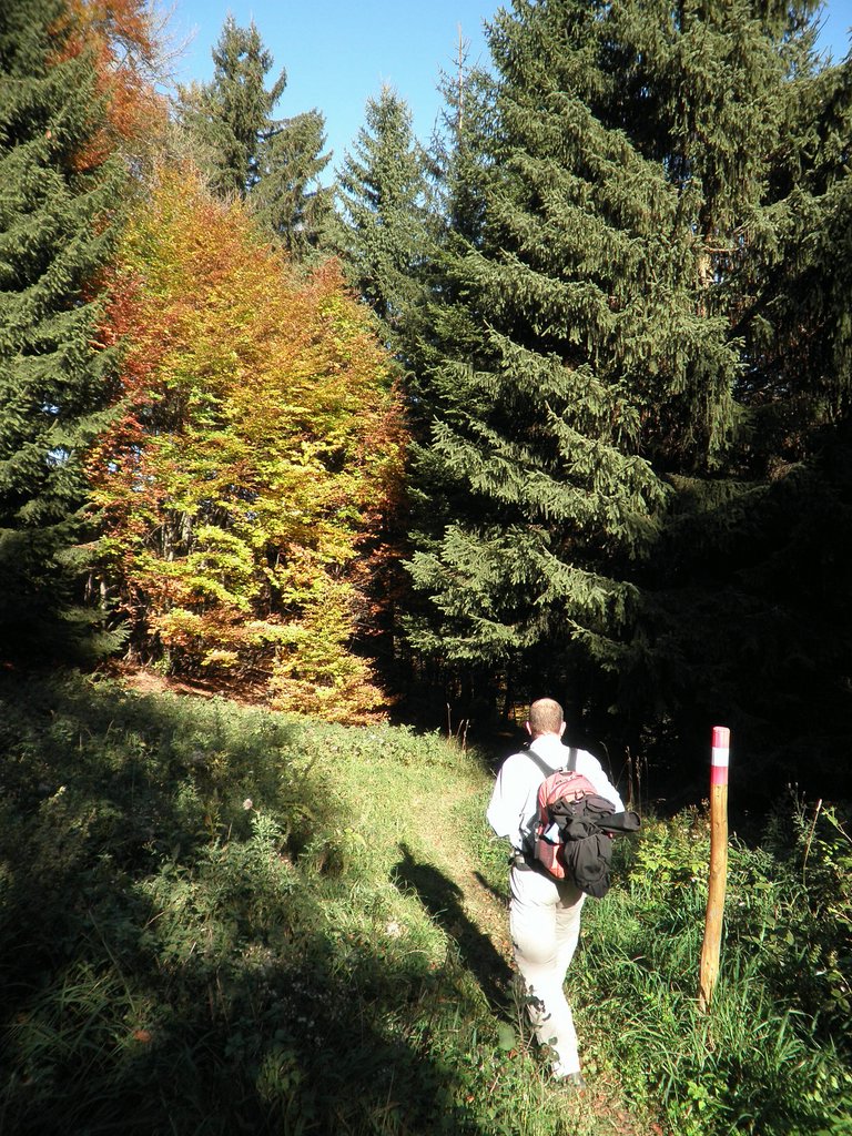 PA090085.JPG