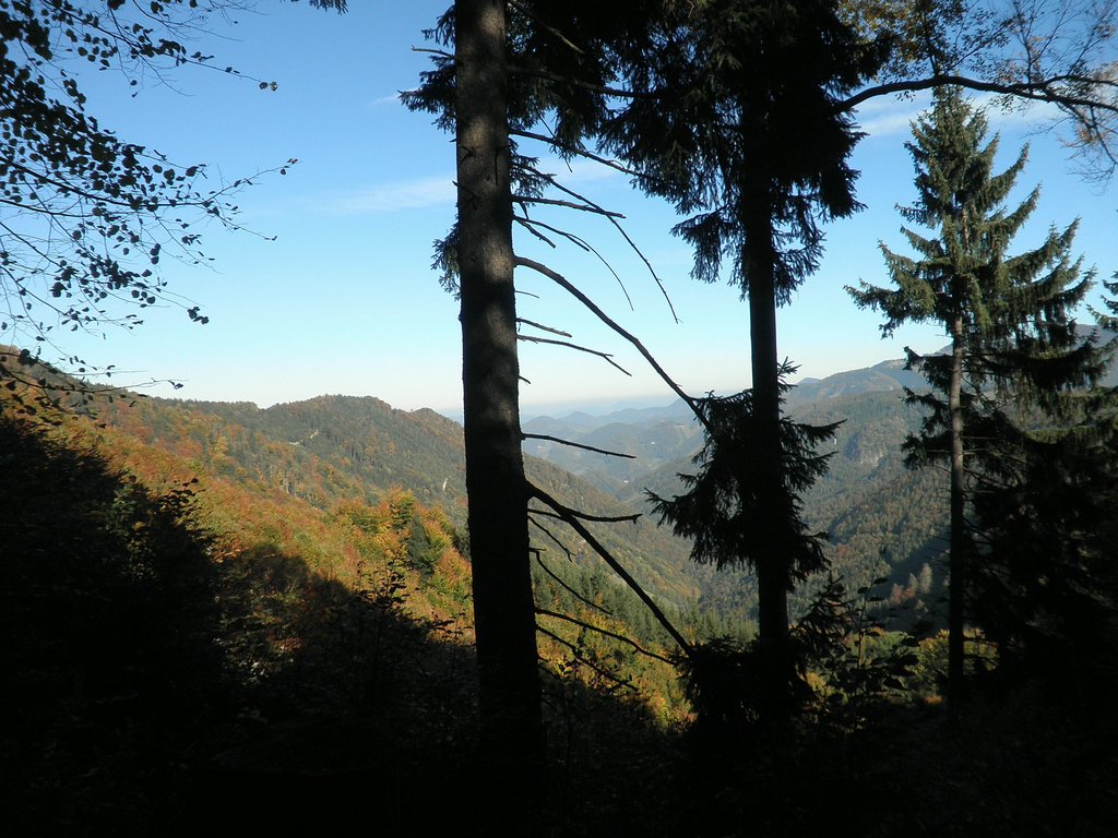 PA090087.JPG