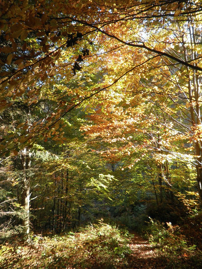 PA090092.JPG