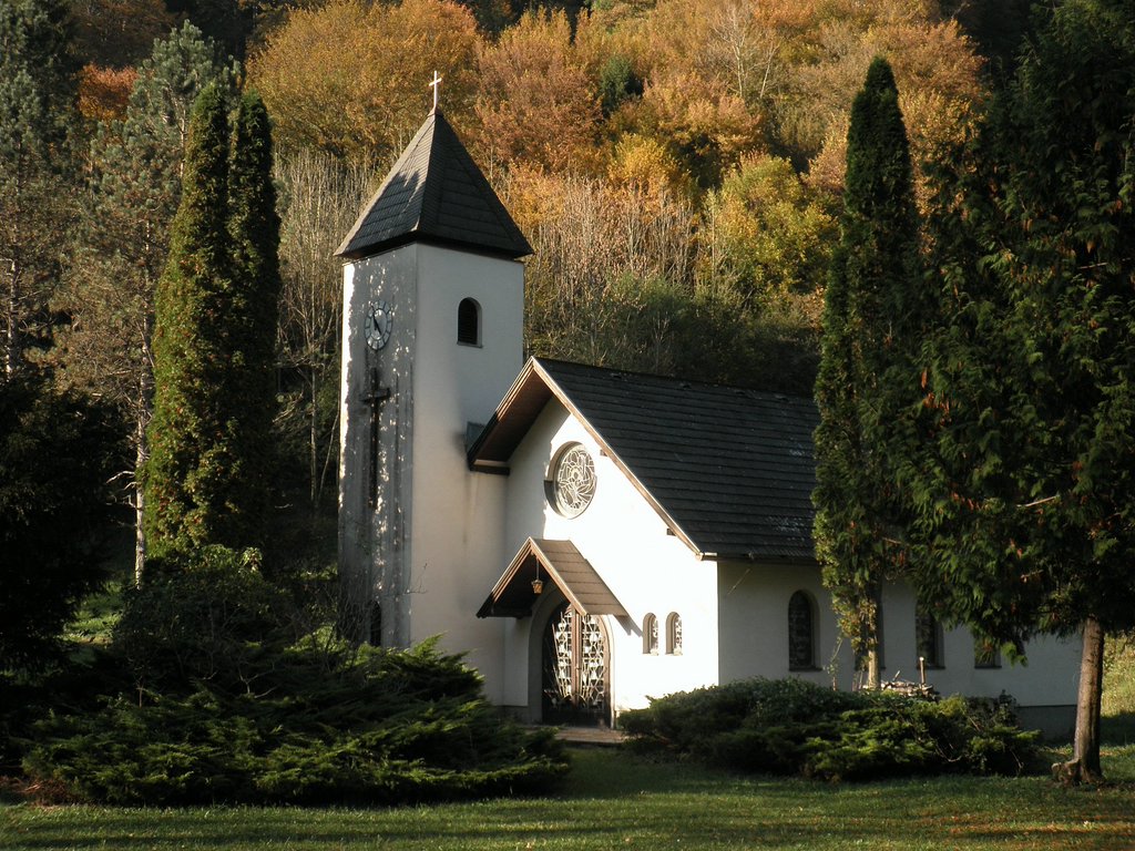 PA090107.JPG