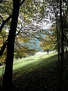 PA090006.JPG