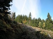 PA090042.JPG