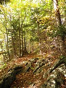PA090044.JPG