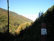 PA090100.JPG