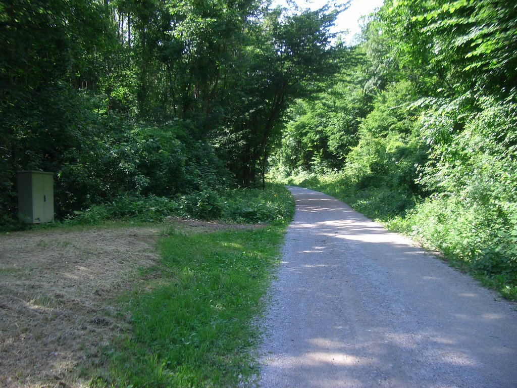 CIMG5325.JPG