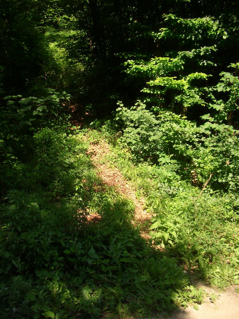 CIMG5326.JPG