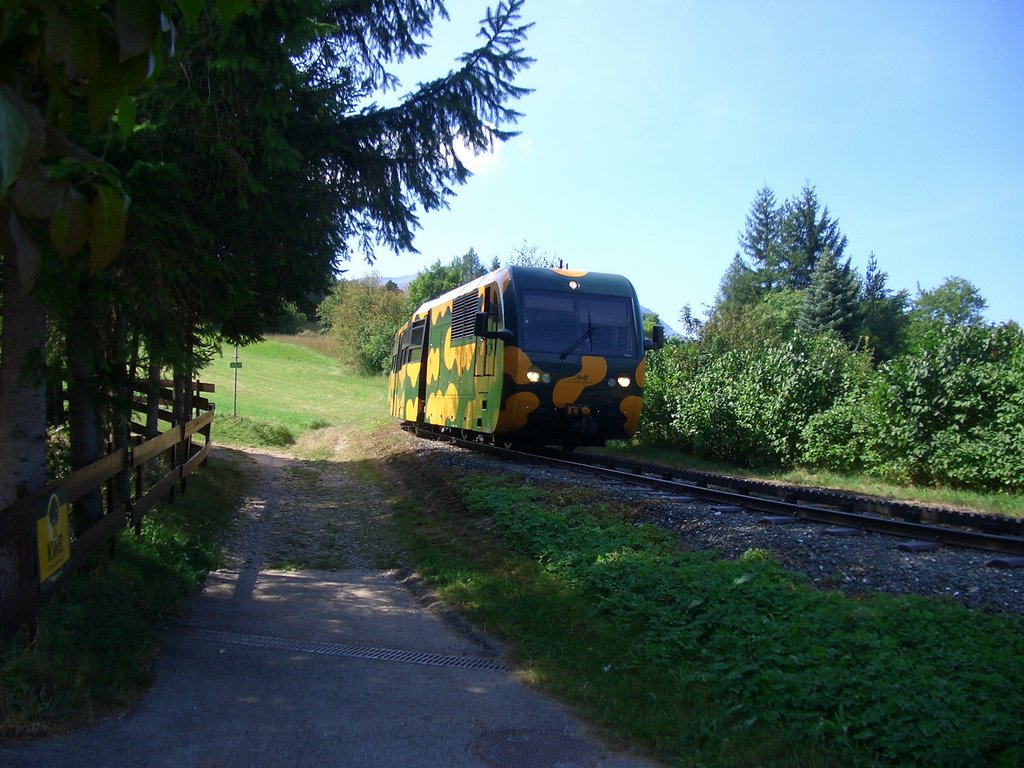 CIMG2041.JPG