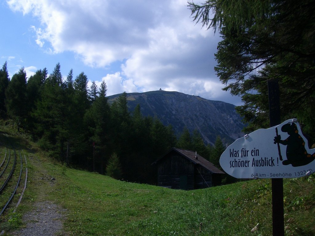 CIMG2056.JPG