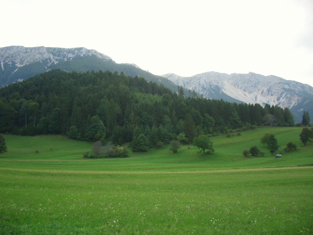 CIMG2087.JPG