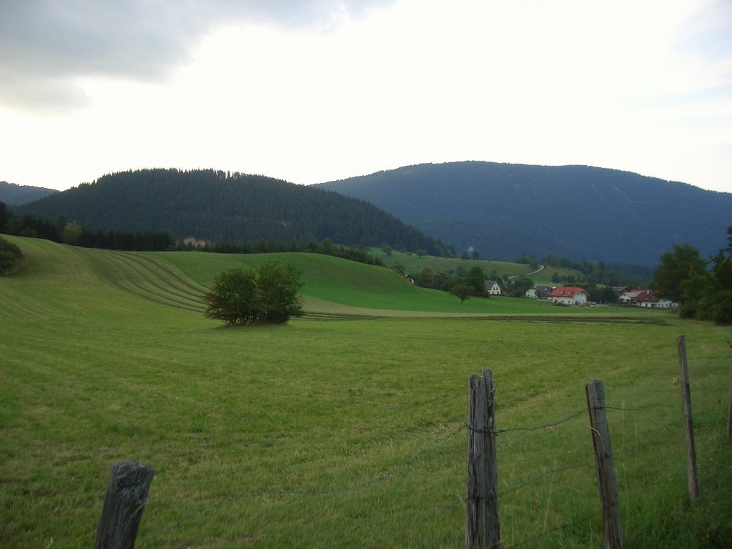 CIMG2088.JPG