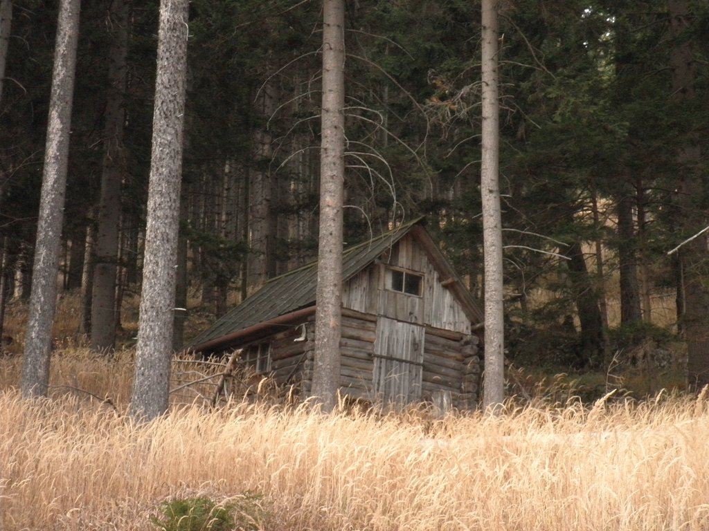PB260011.JPG