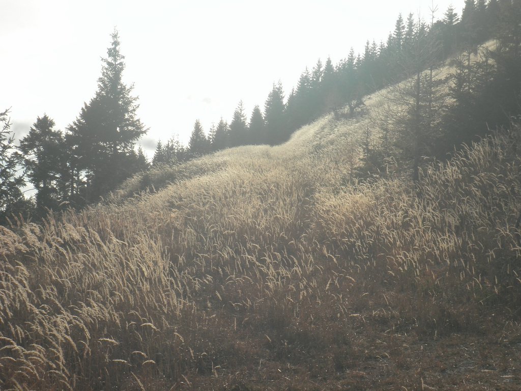 PB260020.JPG