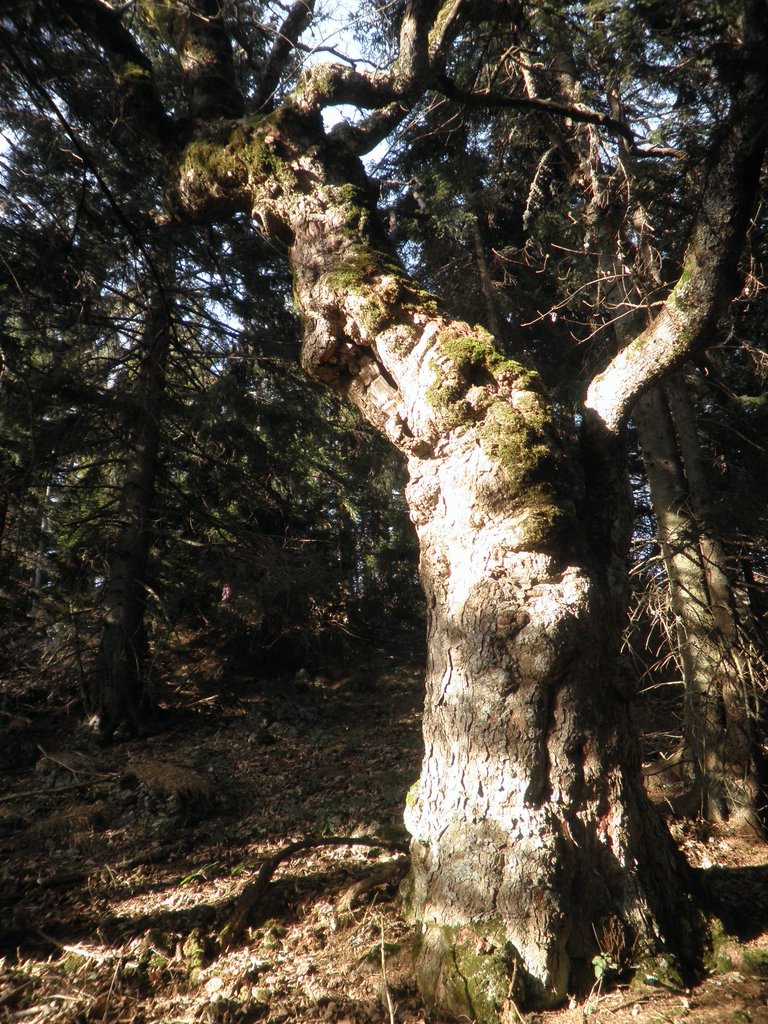 PB260027.JPG