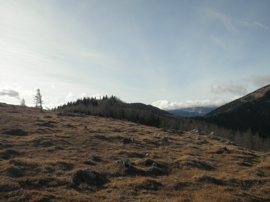 PB260035.JPG