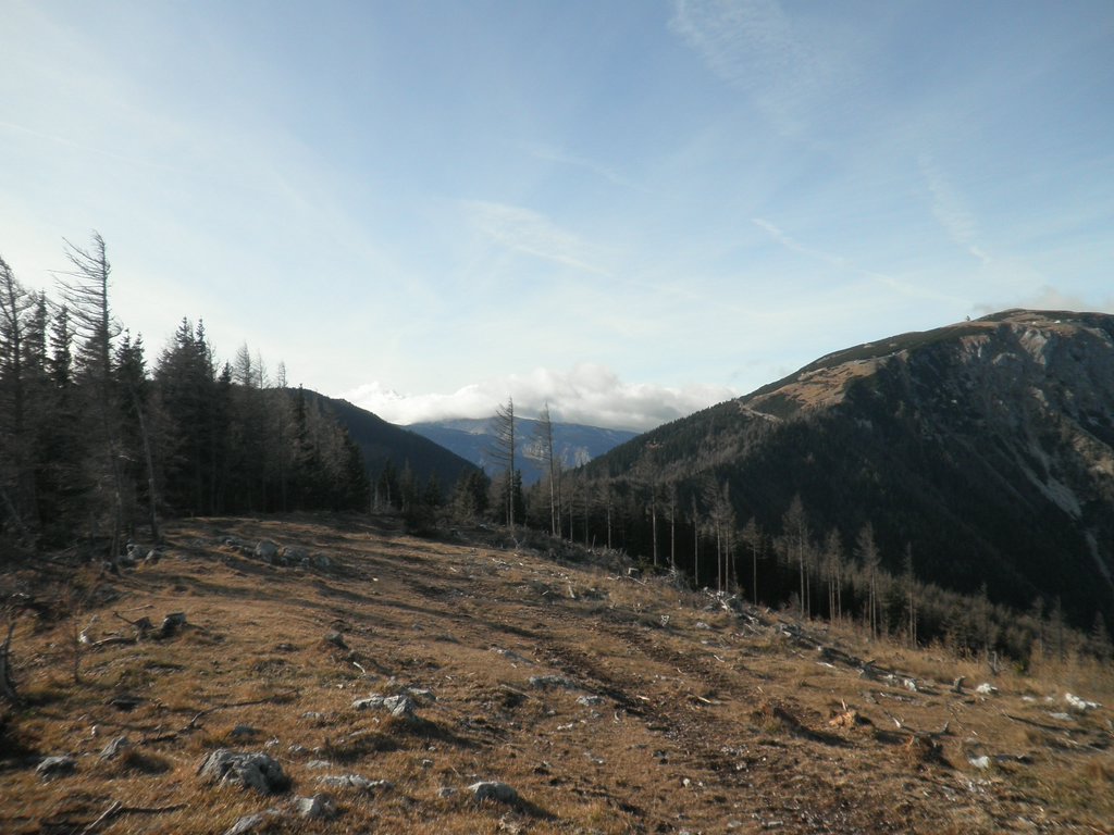 PB260040.JPG