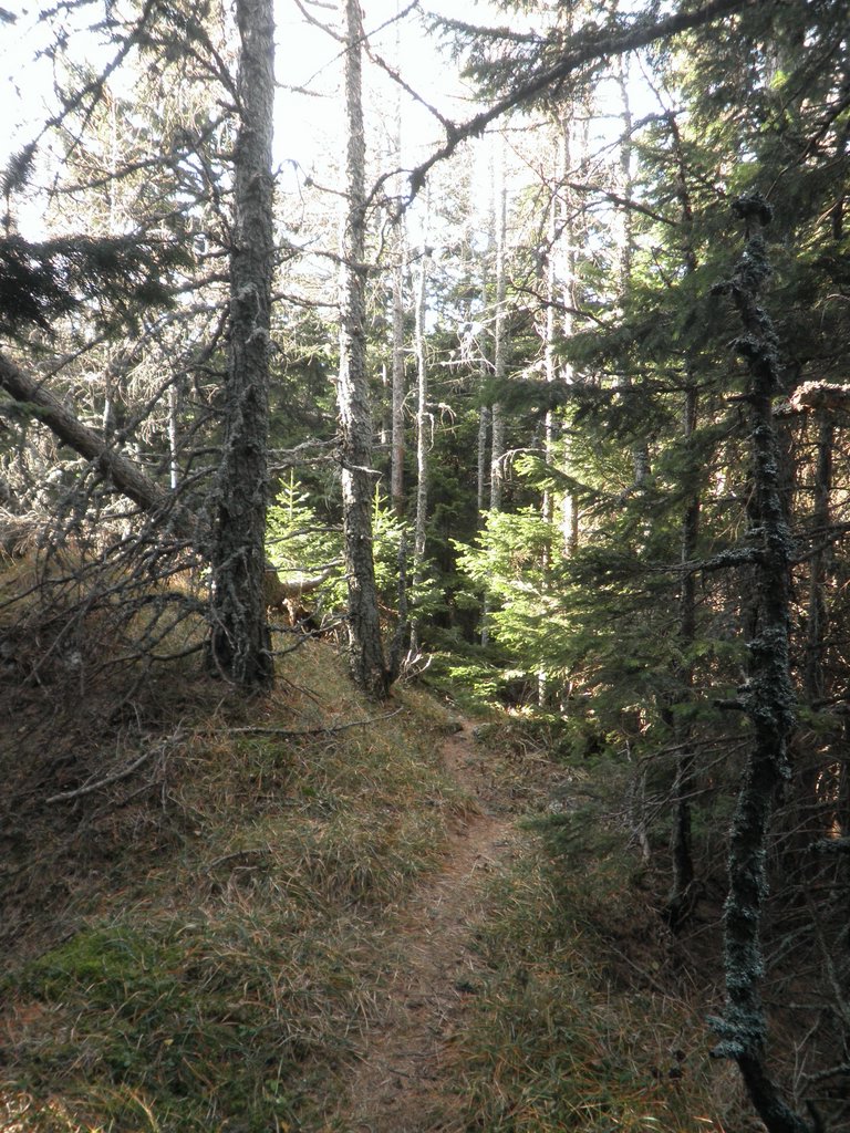 PB260042.JPG