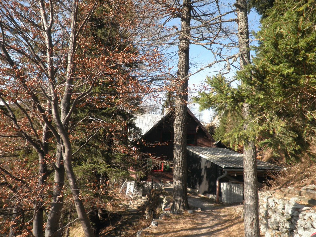 PB260044.JPG