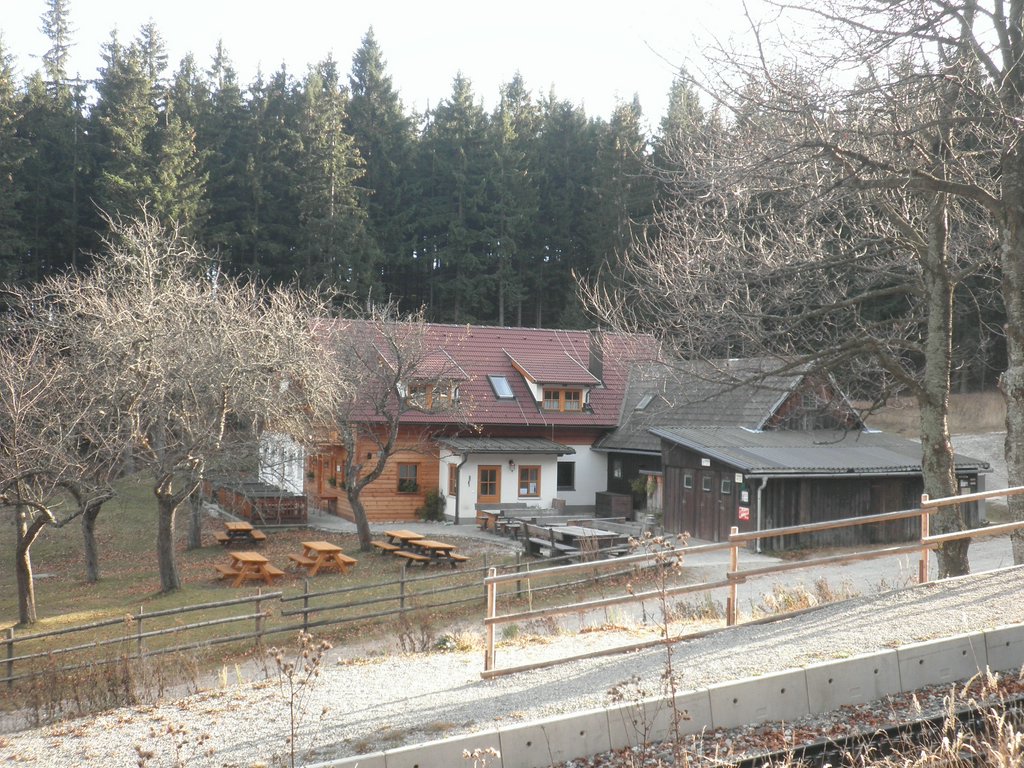 PB260047.JPG
