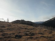 PB260035.JPG
