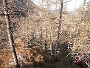 PB260043.JPG