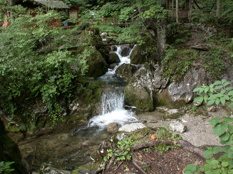 DSCN3442.JPG