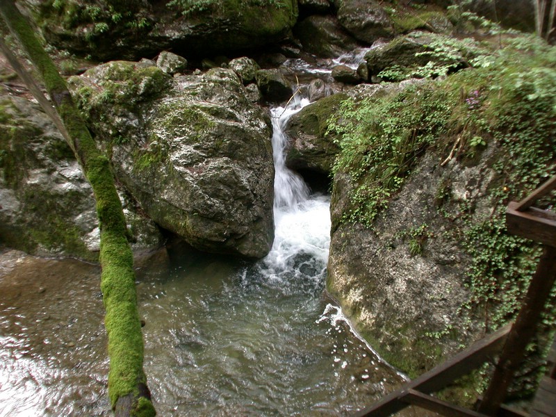 DSCN3447.JPG