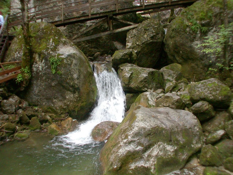 DSCN3448.JPG