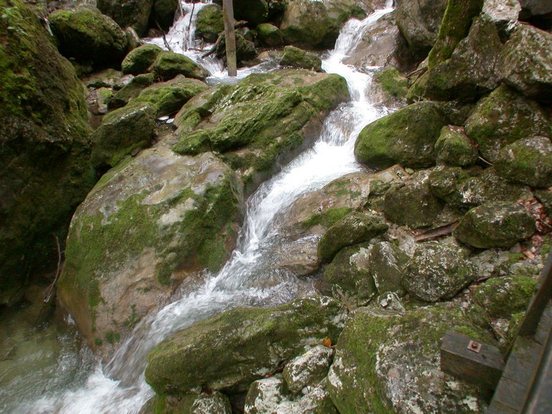 DSCN3450.JPG