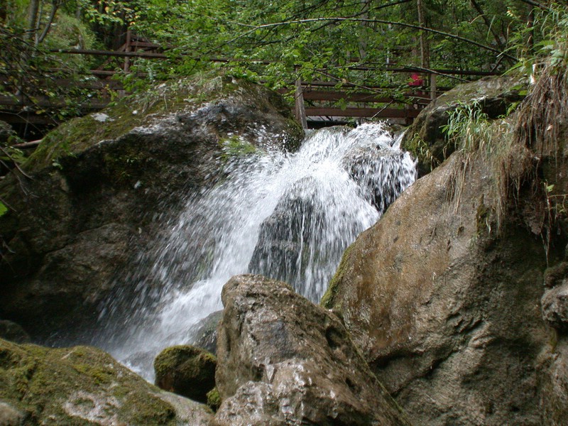 DSCN3453.JPG