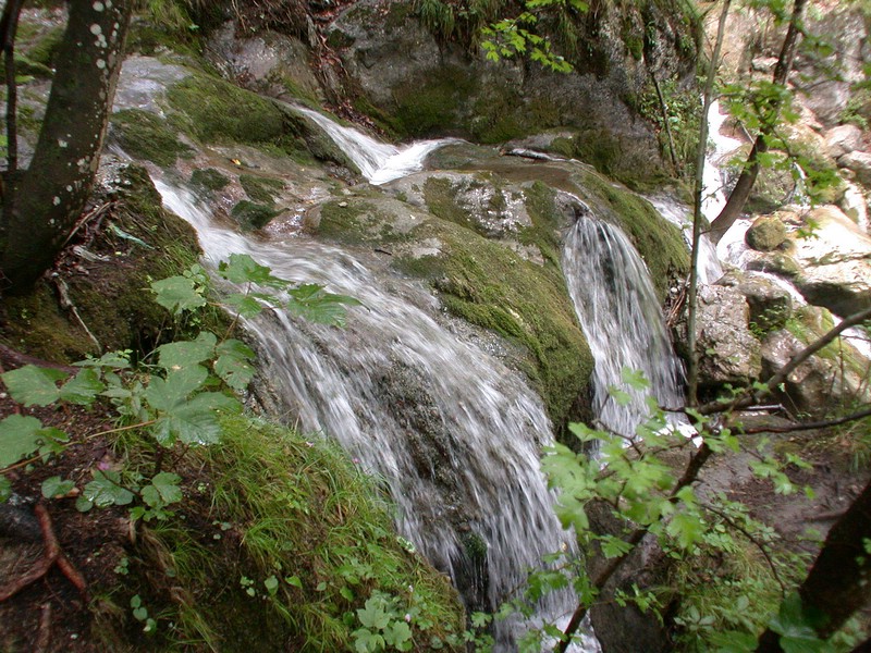 DSCN3456.JPG