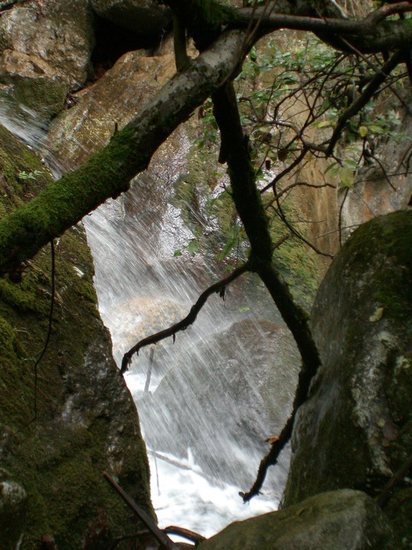 DSCN3460.JPG