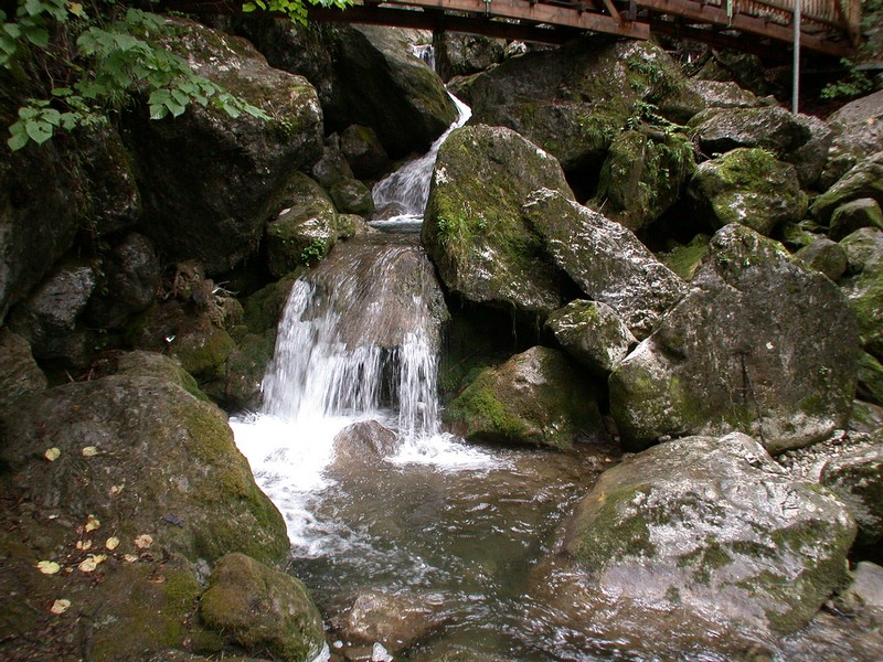 DSCN3463.JPG
