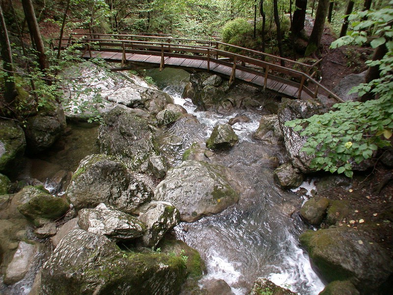 DSCN3464.JPG