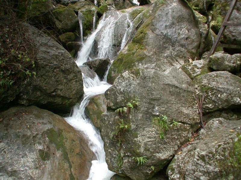 DSCN3466.JPG
