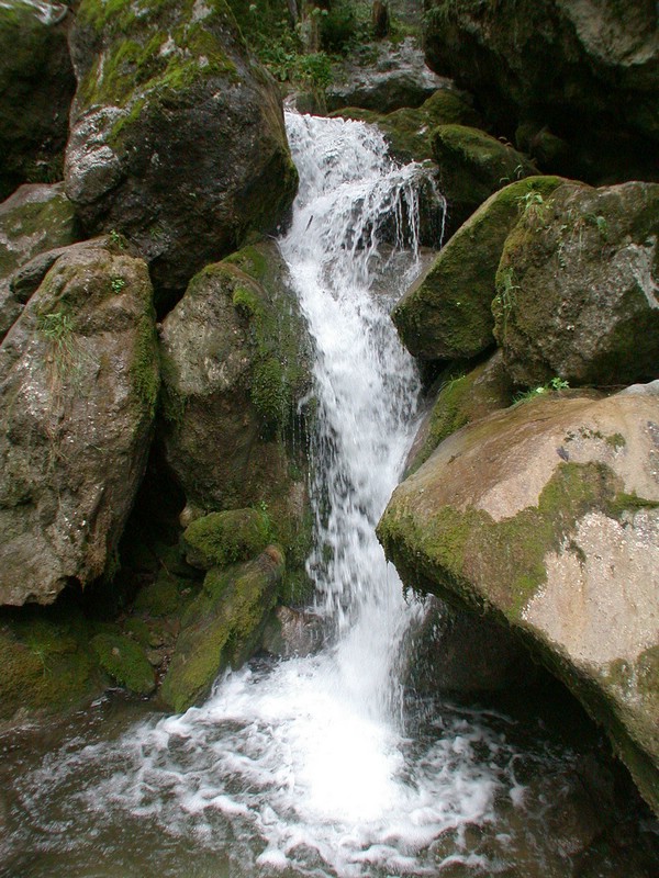DSCN3469.JPG