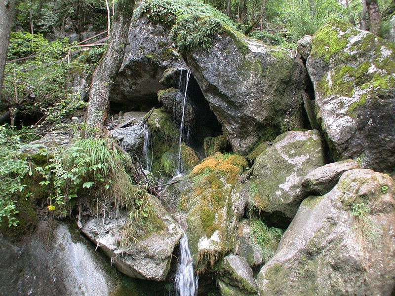 DSCN3470.JPG